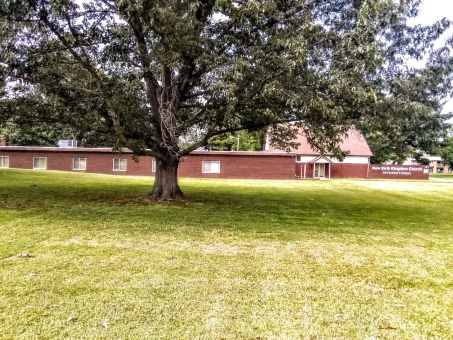 A broad oak on the front lawn with the brick church building behind it